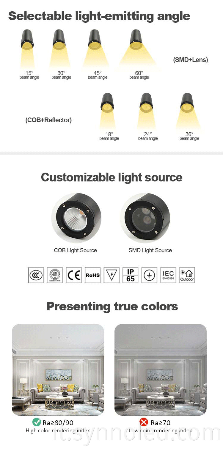 Surface Mounted Ip65 Downlight